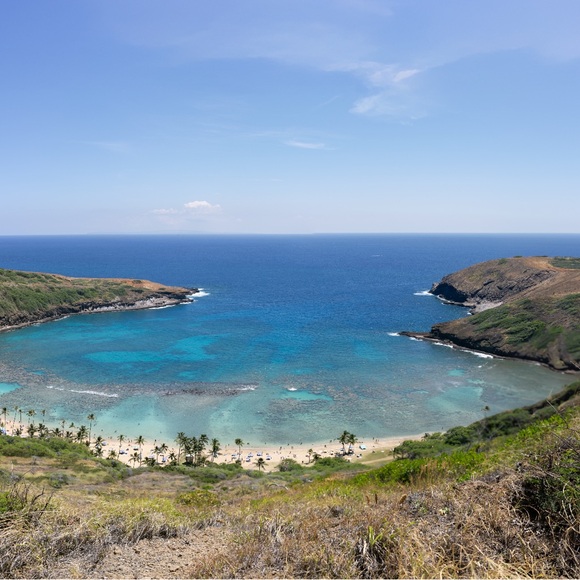 Meet your Posher, Amanda - Picture 1 of 1